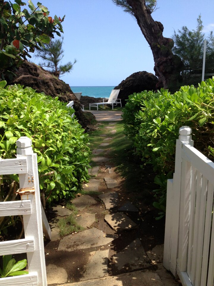 Holiday puerto rico walkway