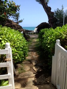 Holiday puerto rico walkway photo