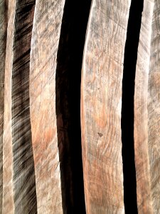 Texture wood natural
