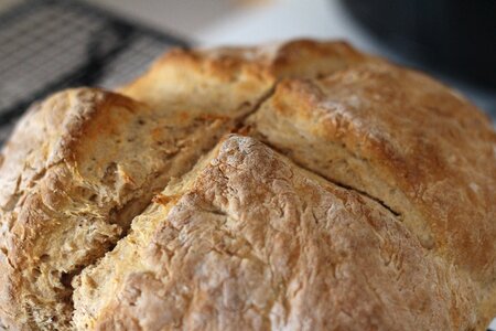 Food baked quick bread photo
