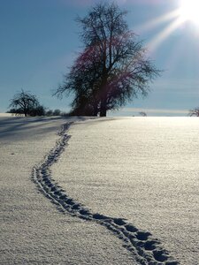 Snow lane trace wintry