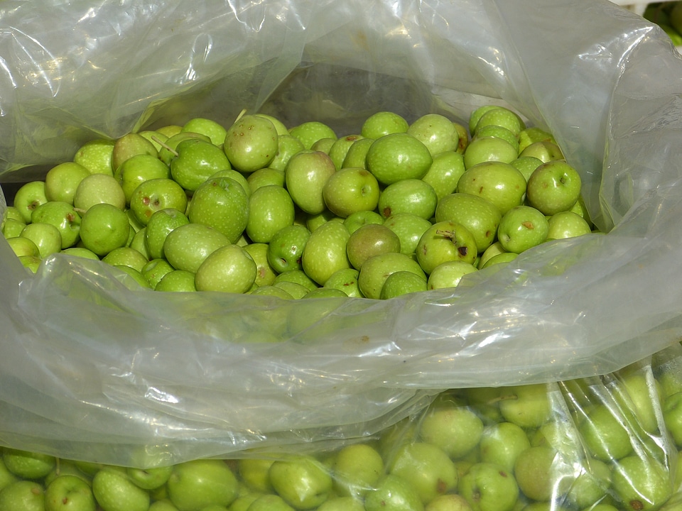 Green olives drupes market