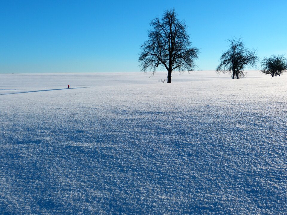 Snow lane trace wintry