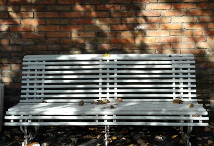 Rest sit autumn