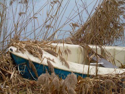 Abandoned nautical rowboat photo