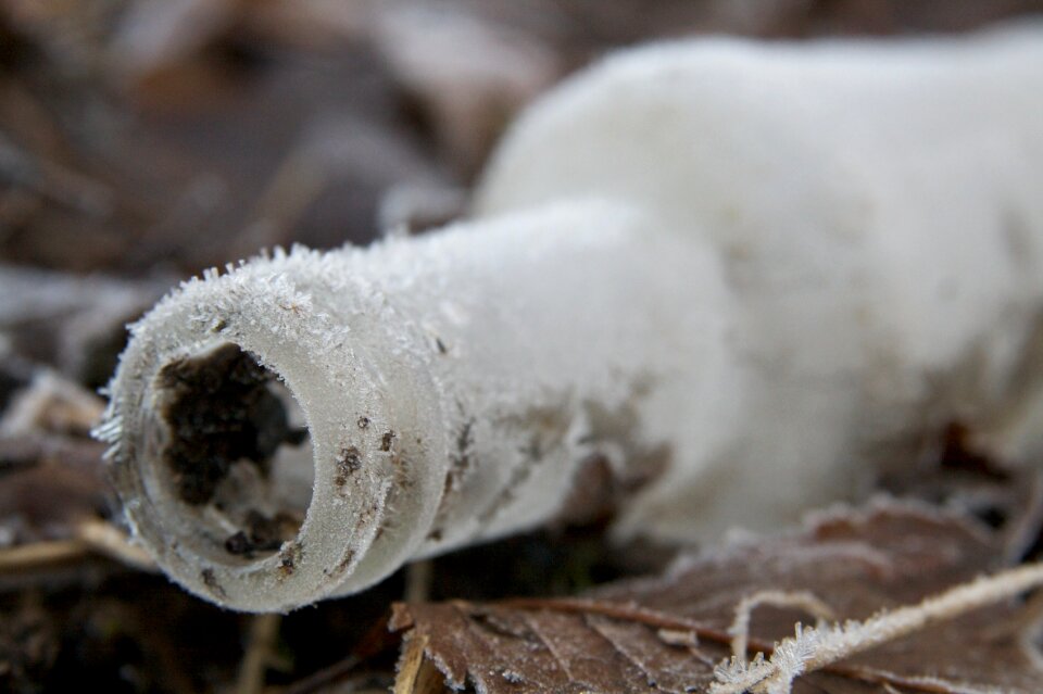 Lost ice crystals