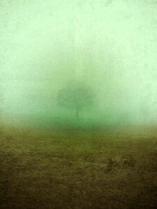 Nature landscape misty