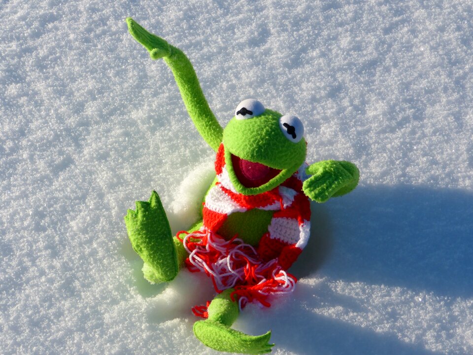 Snow winter cold