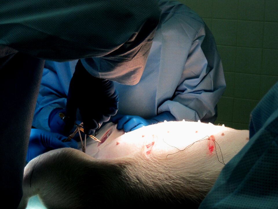 Surgery instruments surgical glove