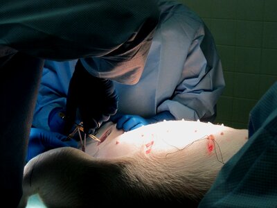 Surgery instruments surgical glove
