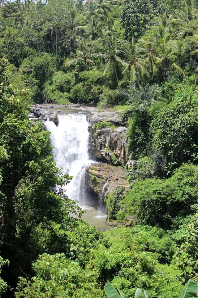 Landscape wilderness scenery