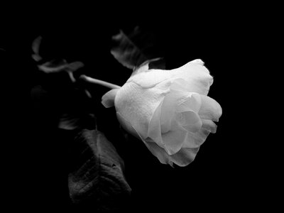 Black white background