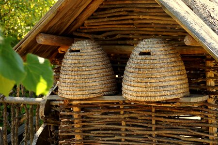 Bees beehives historically photo