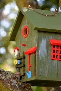 Bird feeder tinker feeding photo