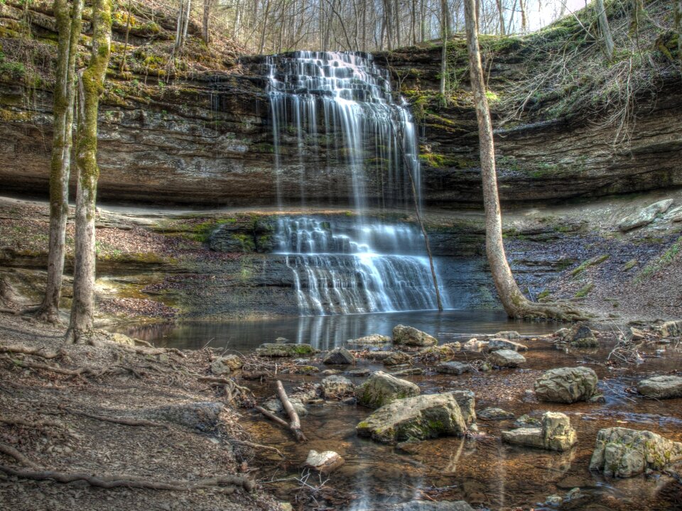 Park landscape wilderness