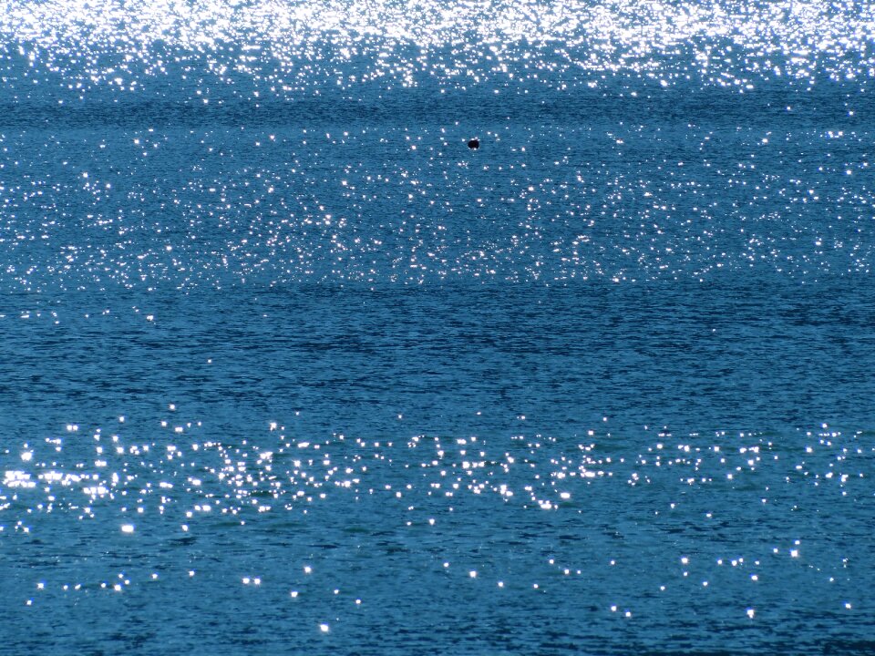 Sparkle shine backlighting