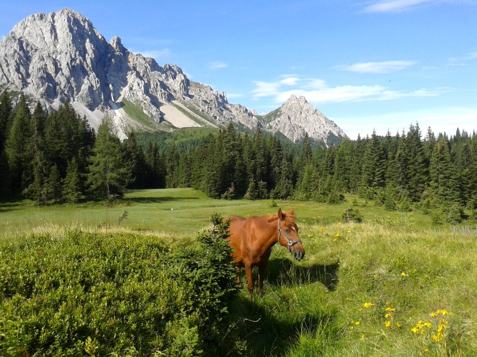 Friuli venezia giulia hiking nature