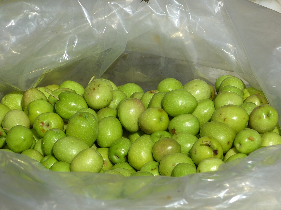 Green olives drupes market