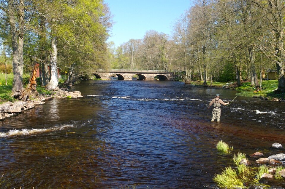Man fly fishing casting