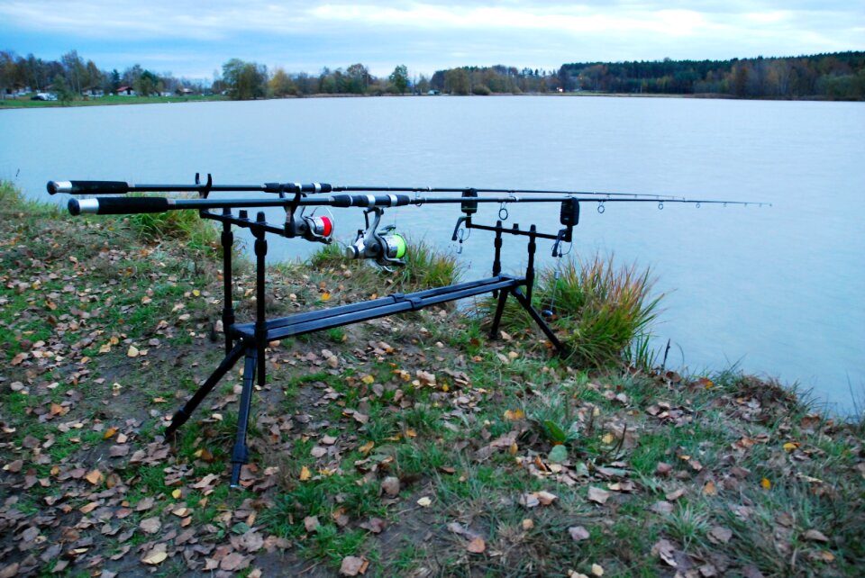 Pond evening stand photo