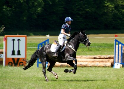 Competition equestrian tournament