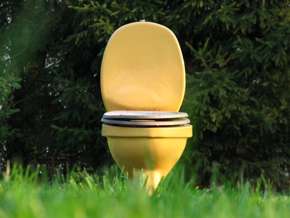 Meadow outdoor toilet surreal