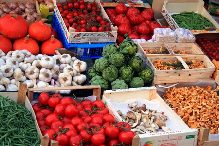 Tomatoes paprika eggplant