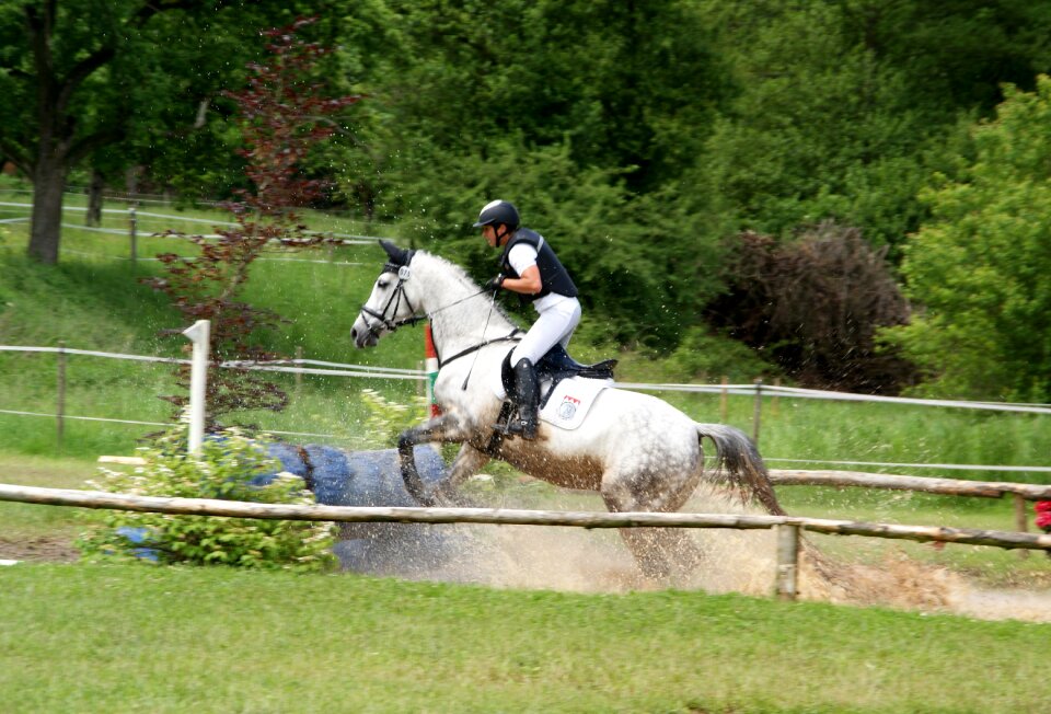Competition equestrian tournament