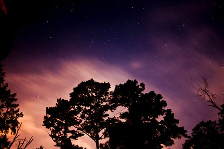 Silhouette stars night