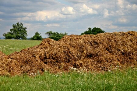 Agriculture haystack livestock