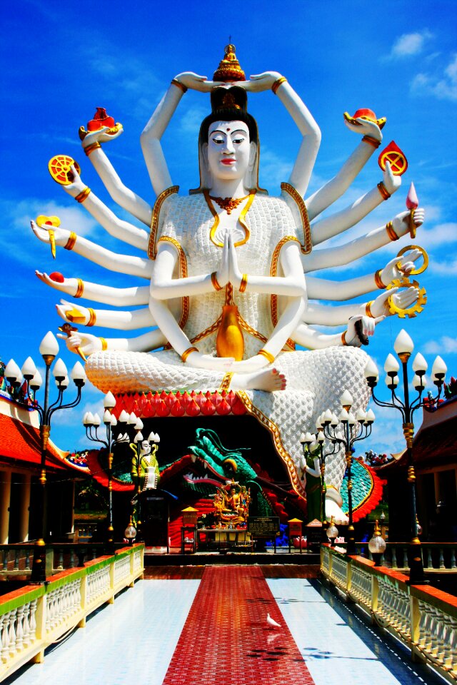 Temple blue bird