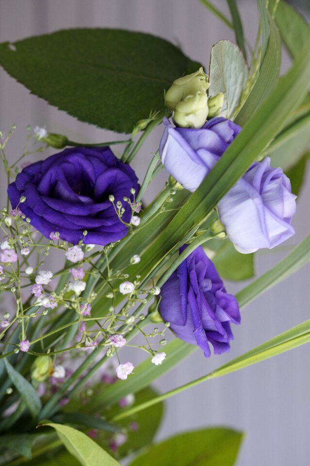 Bloom bouquet festive