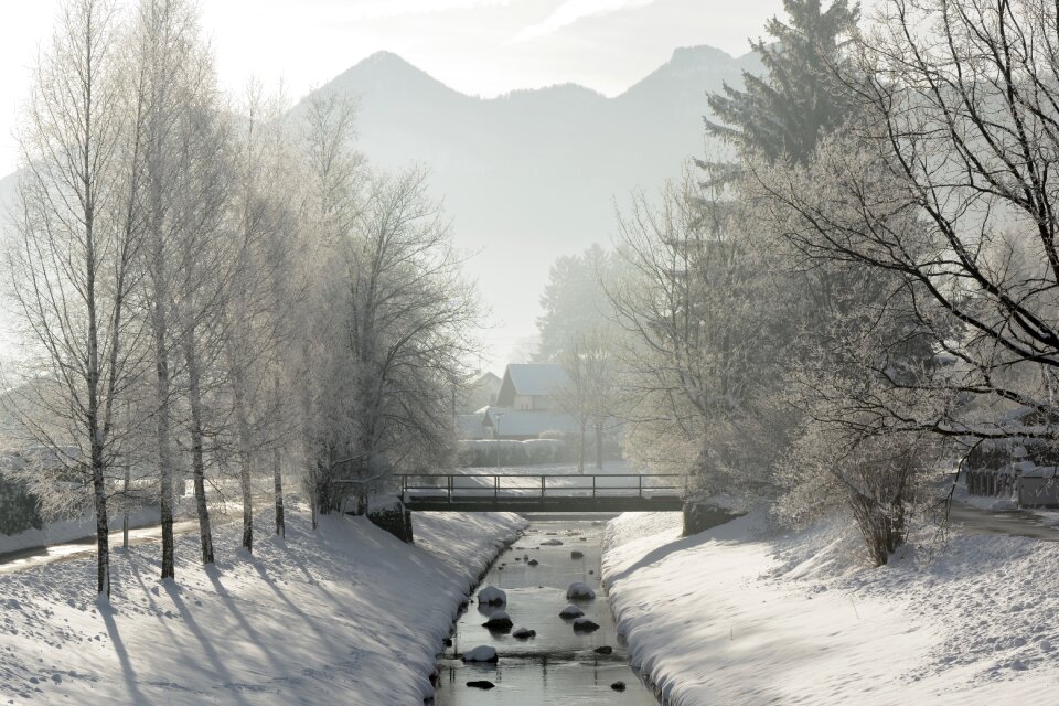 Wintry white snowy