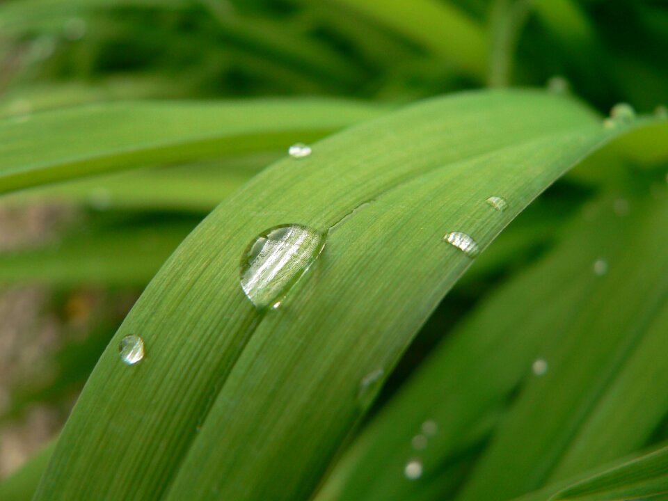 Rain wet after rain
