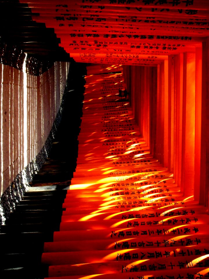Decor colorful red
