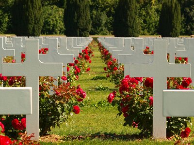 Graves headstone historical