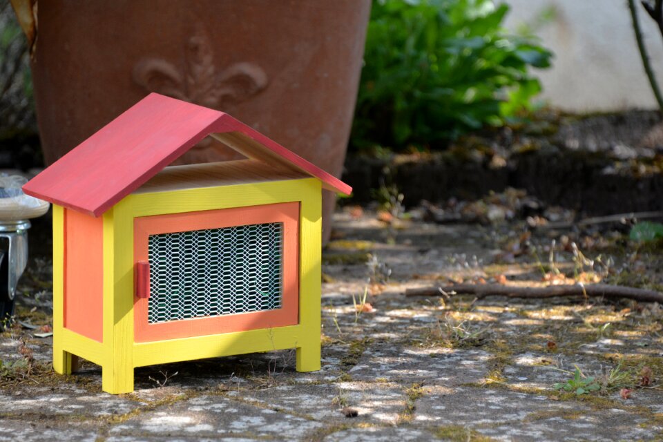 Cottage garden shed deco