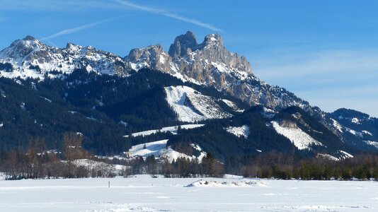 Gimpel winter snow photo