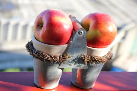 Nature apple red