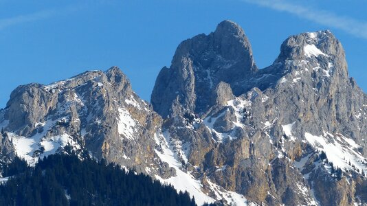 Gimpel winter snow photo