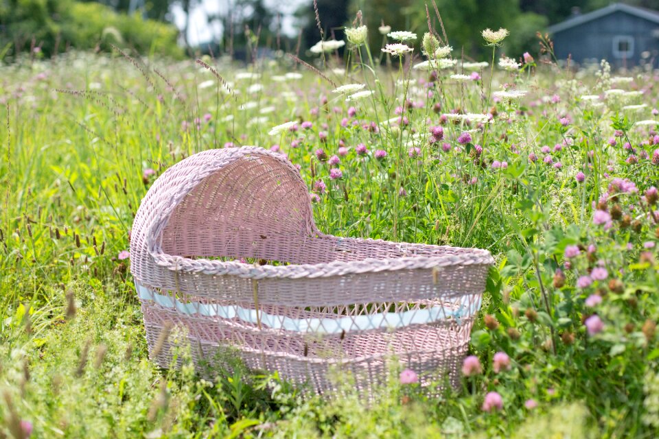 Wildflowers baby child
