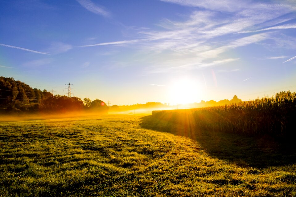 Fog backlighting sun photo