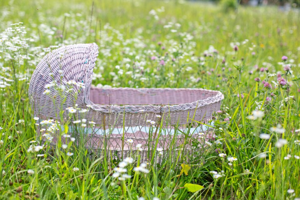 Wild flowers flowers baby