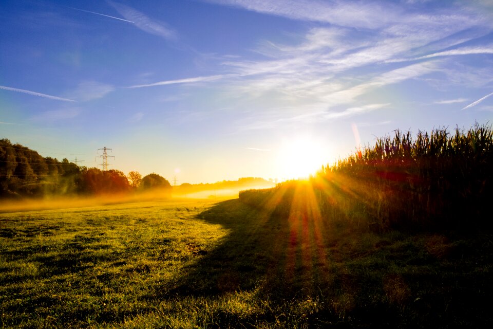 Backlighting sun sunset