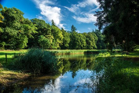 Tranquility netherlands landscape