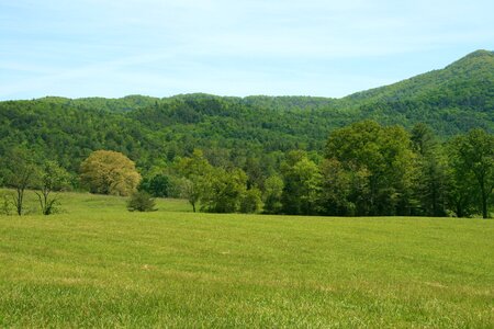 Forest mountain sky photo