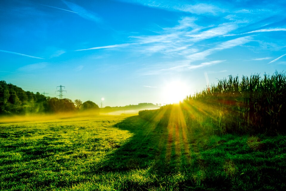 Fog backlighting sun