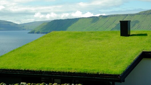 Fjord roofing grass