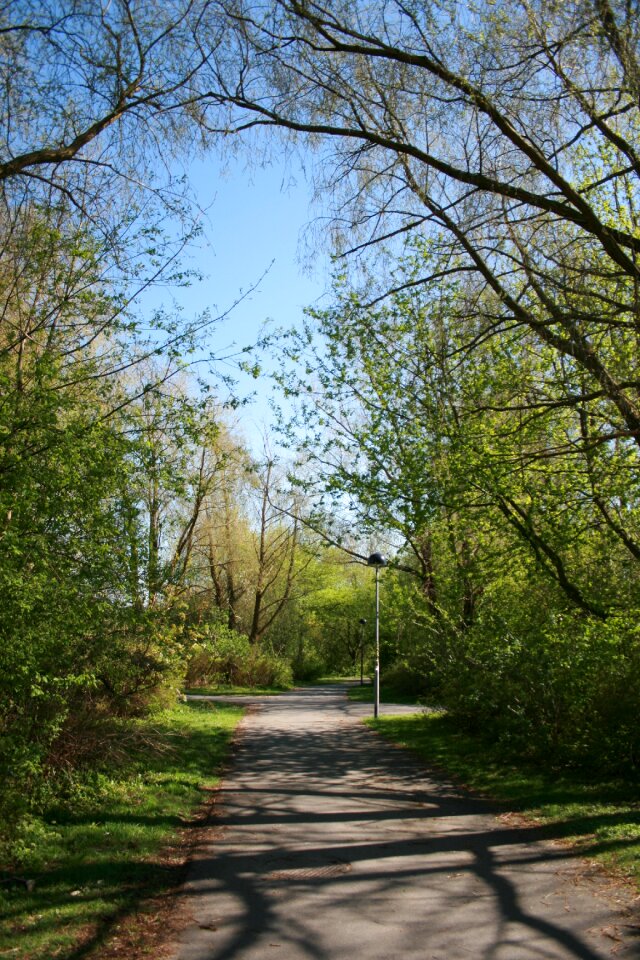Trail paved cement