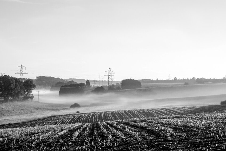 Morning mist sun sunset